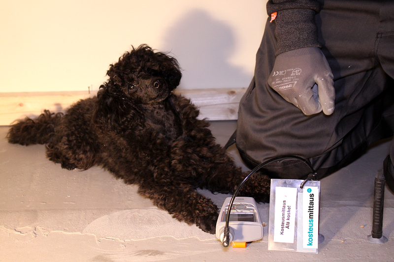 Kosteusmittaus &ndash; Uudisrakennuskohteen lattiabetonin kuivuminen