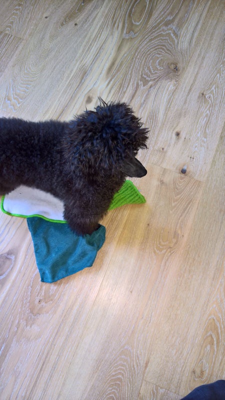 Siivoushommien ohessa kannattaa tarkkailla kiinteist&ouml;n kuntoa